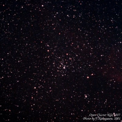 <画像：散開星団NGC1027>